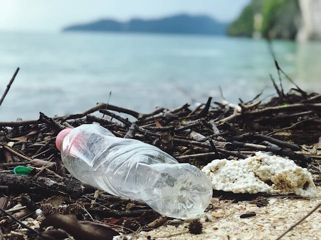 Lire la suite à propos de l’article Réduire le plastique au quotidien : des gestes simples qui font vraiment la différence